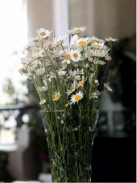 Floristinen sidonta Tampere